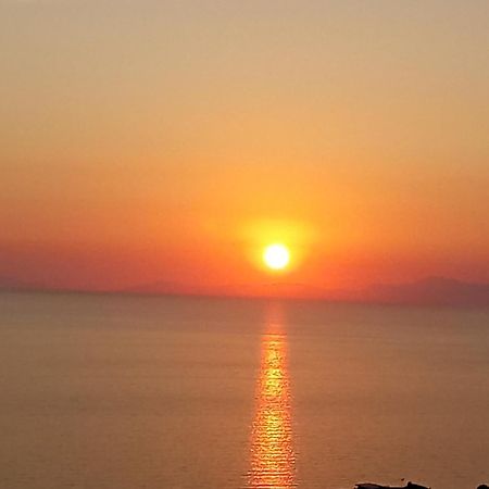 B&B Stella Del Cilento Di Anna Botti アグローポリ エクステリア 写真